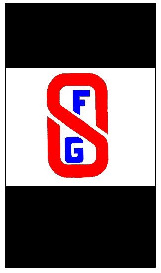 FSS Logo